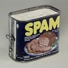 スパムメール（spam mail）