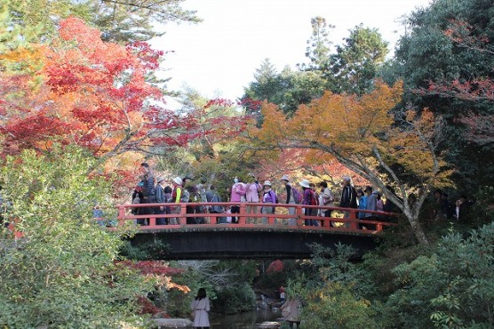 紅葉谷公園の中