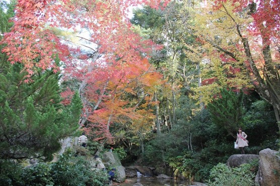 小さな川の風景