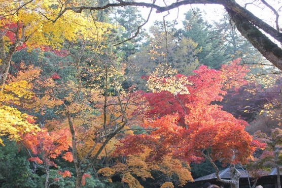 まぁ、だいたいが、こんな風景