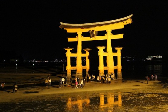夜の大鳥居