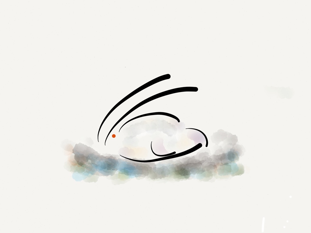 大雪です(T_T)