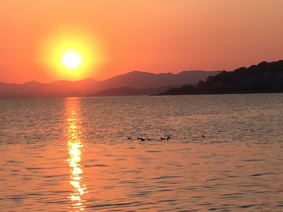 宍道湖の夕焼け＆水鳥