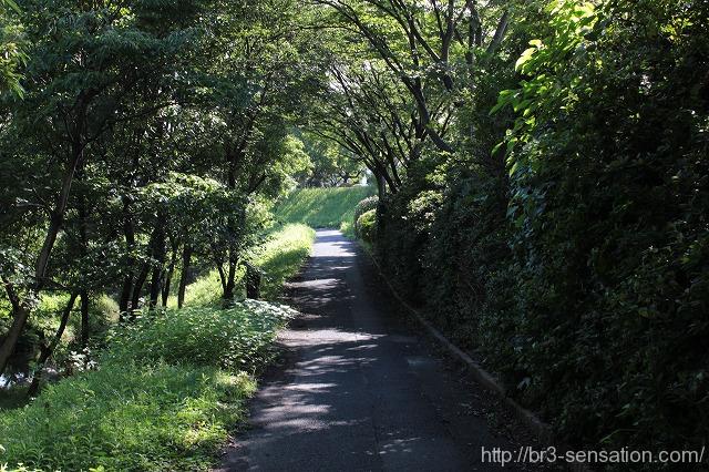 別館のお知らせ