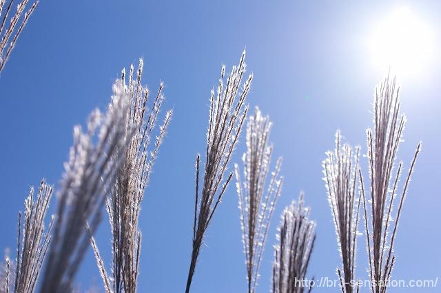 北海道が大荒れ(・。・;
