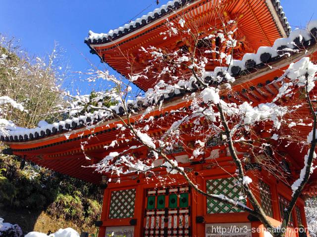 どか雪(写真を追加したー)